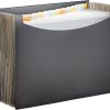 A4 Expanding File, Black