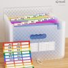 A4 Expanding File Organiser with Grid Pattern, 13 Pockets, Expandable Document Filling Box, Accordion Desk Folder, Portable Rainbow File Wallet, Plastic Bill Storage Bag